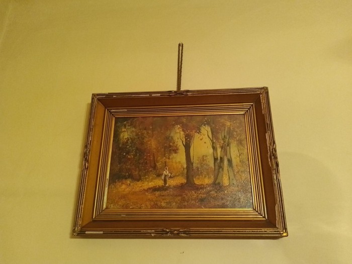 Tablou vechi (scoala Grigorescu)