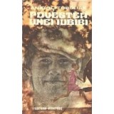 Povestea unei iubiri
