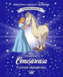 Cenusareasa. O echipa castigatoare Vol.81 - Litera