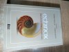 Echinox. Prozatori romani (1968-1989) - Ovidiu Pecican; Stefan Suteu (coordonatori), (Editura Limes, 2018)