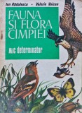 Cumpara ieftin Fauna si flora campiei. Mic determinator - Ion Radulescu (S336)