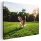 Tablou caine Beagle in natura Tablou canvas pe panza CU RAMA 80x120 cm
