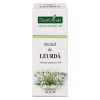 TINCTURA LEURDA TM 50ML, Plantextrakt