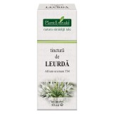 TINCTURA LEURDA TM 50ML