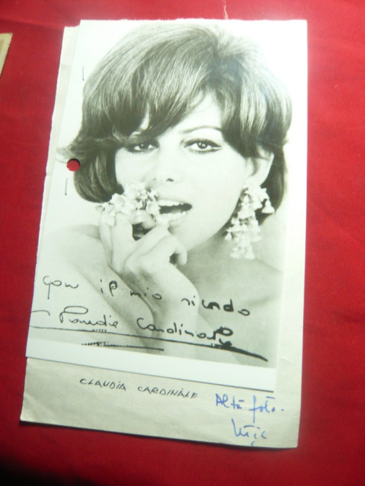 Fotografie Claudia Cardinale cu autograf fotografiat ,dim.=15x9,6cm