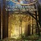 Quest: A Guide for Creating Your Own Vision Quest