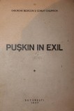 PUSKIN IN EXIL