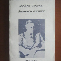 Grigore Gafencu - Insemnari politice