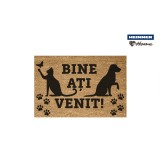 COVORAS INTRARE 60X40 CM, PAWS