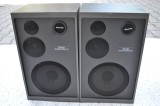 Boxe Sony SS-B1S