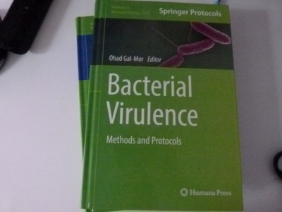 Bacterial virulence foto
