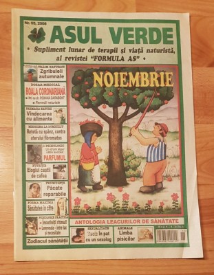 Revista Asul Verde Nr. 55 / 2008 (noiembrie 2008) foto