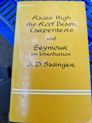 J. D. Salinger - Raise High the Roof Beam, Carpenters and Seymour an Introduction foto