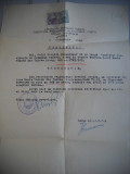 HOPCT DOCUMENT VECHI NR 504 CERTIFICAT COMITETUL PROVIZORIU AL ORAS TULCEA 1949, Romania 1900 - 1950, Documente