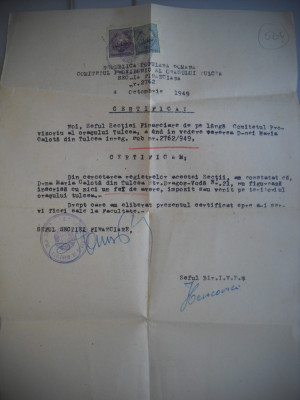 HOPCT DOCUMENT VECHI NR 504 CERTIFICAT COMITETUL PROVIZORIU AL ORAS TULCEA 1949 foto