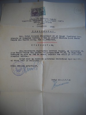 HOPCT DOCUMENT VECHI NR 504 CERTIFICAT COMITETUL PROVIZORIU AL ORAS TULCEA 1949 foto