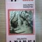 MUNTII NOSTRI NR. 17 : MUNTII ANINEI