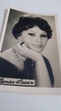FOTO TIP 9/6CM SOPHIA LOREN