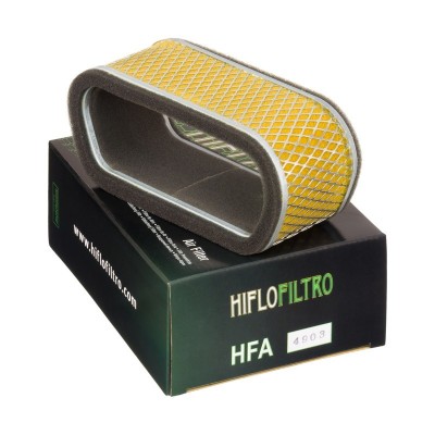 Element filtrant HFA4903, Hiflo Filtro foto