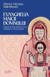 Evanghelia Maicii Domnului - cuv&acirc;ntări, predici, rugăciuni - Paperback brosat - Nicolae Velimirovici - Predania