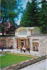 Borsec. Izvorul principal de apa minerala (Carte postala circulata) foto