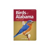 Birds of Alabama Field Guide