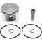 Piston complet compatibil Stihl MS 290, 029, 46 mm, bolt 10, PowerX