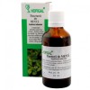 Tinctura Menta Hofigal 50ml