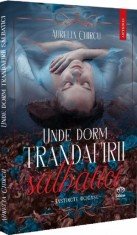 Unde dorm trandafirii salbatici, Petale Scrise