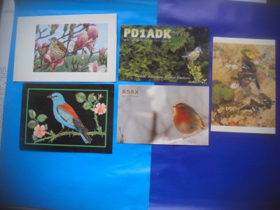 HOPCT LOT NR 385 PASARI CANTATOARE -FAUNA-5 CARTI POSTALE-CIRCULATE foto