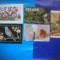 HOPCT LOT NR 385 PASARI CANTATOARE -FAUNA-5 CARTI POSTALE-CIRCULATE