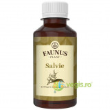 Tinctura de Salvie 200ml