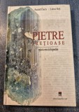 Pietre pretioase mica enciclopedie Rudolf Duda Lubos Rejl