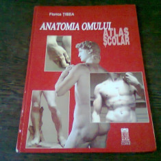 ANATOMIA OMULUI. ATLAS SCOLAR - FLORICA TIBEA