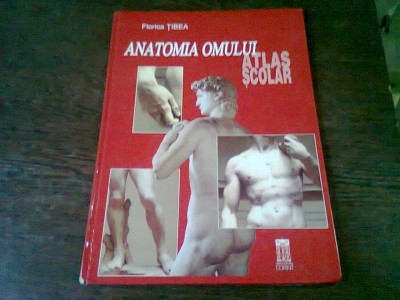 ANATOMIA OMULUI. ATLAS SCOLAR - FLORICA TIBEA foto