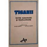 Elena Zamfir (coord.) - Tiganii. Intre ignorare si ingrijorare (Editia: 1993)