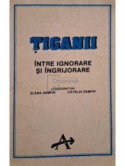 Elena Zamfir (coord.) - Tiganii. Intre ignorare si ingrijorare (Editia: 1993) foto