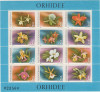 M1 TX1 7 - 1988 - Orhidee - blocuri, Flora, Nestampilat