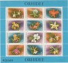 A11 TX1 7 - 1988 - Orhidee - blocuri, Flora, Nestampilat