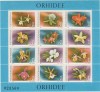 M1 TX1 7 - 1988 - Orhidee - blocuri, Flora, Nestampilat