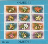 A11 TX1 7 - 1988 - Orhidee - blocuri, Flora, Nestampilat