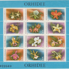 M1 TX1 7 - 1988 - Orhidee - blocuri