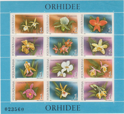 M1 TX1 7 - 1988 - Orhidee - blocuri foto