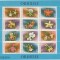 A11 TX1 7 - 1988 - Orhidee - blocuri