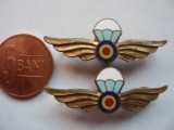 ROMANIA -AVIATIE - SET SEMNE ARMA PARASUTISTI / PARASUTIST, 1962, IM 1.134