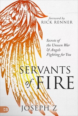 Servants of Fire: Secrets of the Unseen War and Angels Fighting for You foto