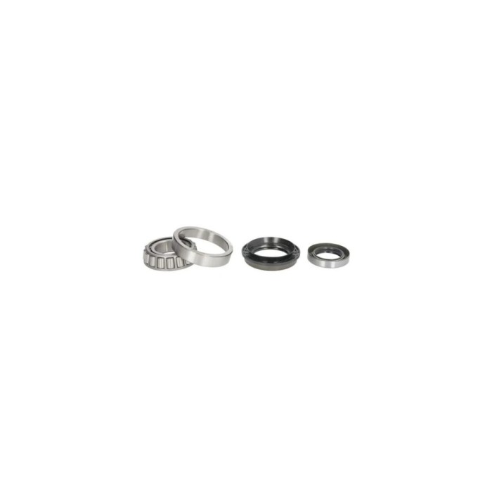 Set rulment roata NISSAN TERRANO I WD21 BTA H21021BTA
