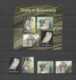 BOTSWANA 2020 FAUNA PASARI BUFNITE