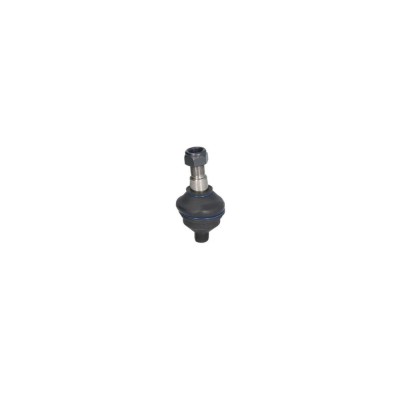 Pivot Iveco DAILY III platou sasiu FORTUNE LINE FZ3004 foto