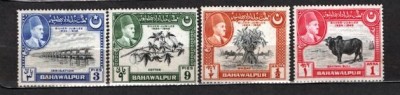 PAKISTAN (BAHAWALPUR) 1949 - ANIVERSARI. JUBILEU. SERIE NESTAMPILATA, DB13 foto